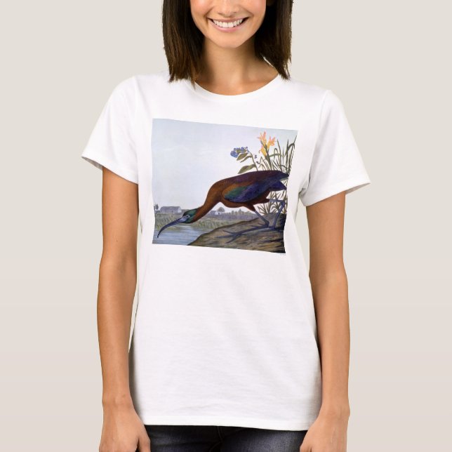 Audubon: Glossy Ibis T-Shirt (Front)