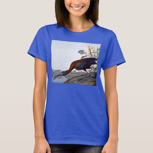Audubon: Glossy Ibis T-Shirt (Front)