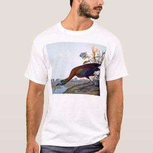 Audubon: Glossy Ibis T-Shirt