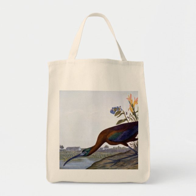 Audubon: Glossy Ibis Tote Bag (Front)