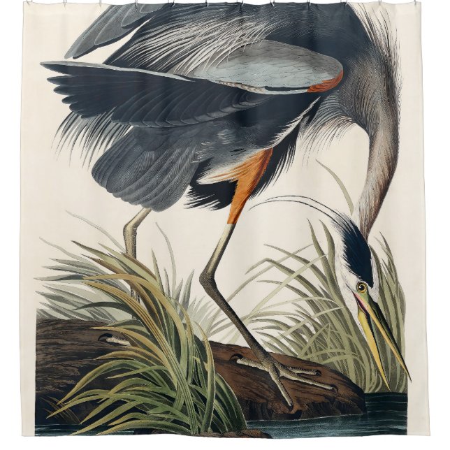 Audubon Great Blue Heron 1834 Plate CCXI Shower Curtain (Front)