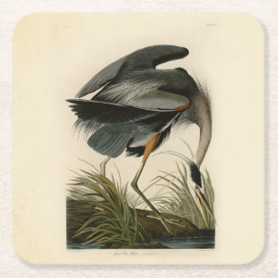 Audubon Great Blue Heron Birds Square Paper Coaster