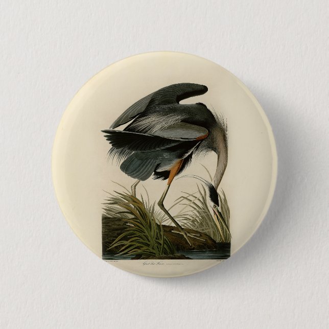 Audubon Great Blue Heron Marsh Bird 6 Cm Round Badge (Front)