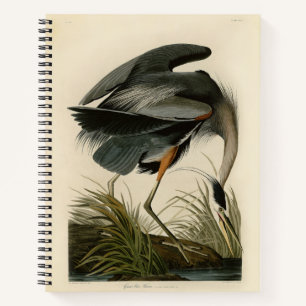 Audubon Great Blue Heron Marsh Bird Notebook