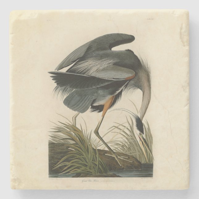 Audubon Great Blue Heron Marsh Bird Stone Coaster (Front)