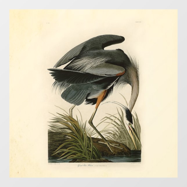 Audubon Great Blue Heron Marsh Bird Window Cling (Sheet)