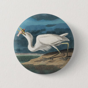 Audubon Great White Heron: Vintage Coastal Bird 6 Cm Round Badge