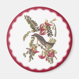 Audubon Grey Tyrant Bird Vintage Bookplate Art Magnet