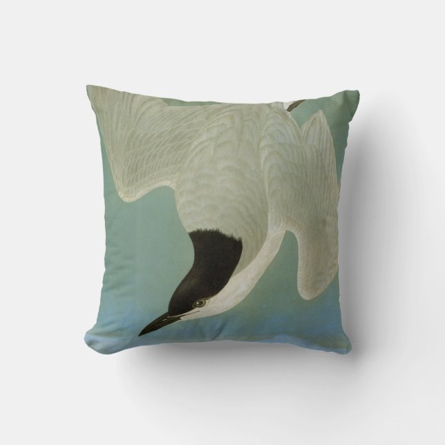Audubon: Gull-Billed Tern Cushion (Front)