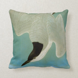 Audubon: Gull-Billed Tern Cushion