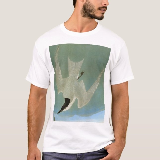Audubon: Gull-Billed Tern T-Shirt (Front)