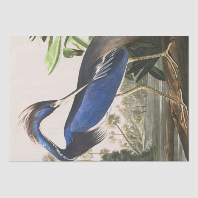 Audubon Heron Bird Wildlife Animal Tissue Paper (Front)