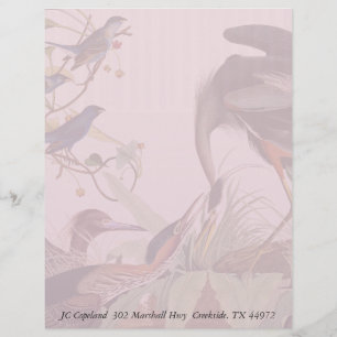 Audubon Heron Birds Collage Stationery Letterhead