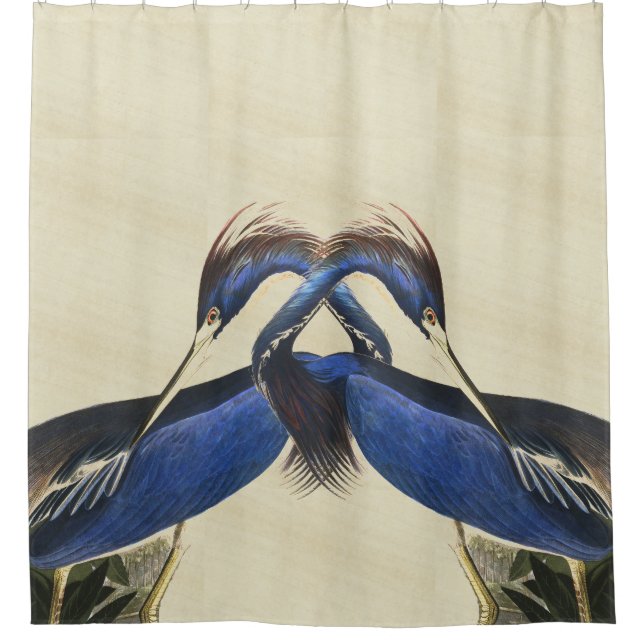 Audubon Heron Birds Wildlife Animal Shower Curtain (Front)