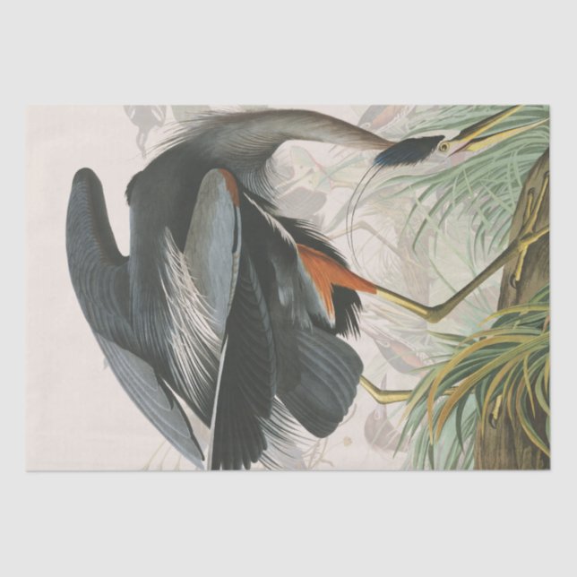 Audubon Heron Birds Wildlife Animal Tissue Paper (Front)