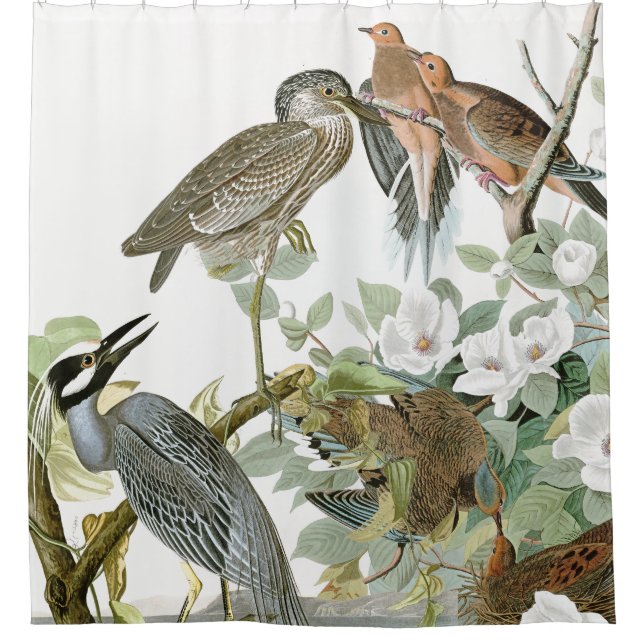 Audubon Herons & Dove Birds Animal Shower Curtain (Front)