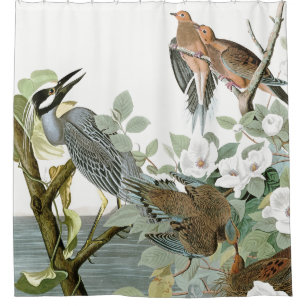 Audubon Herons & Dove Birds Animal Shower Curtain