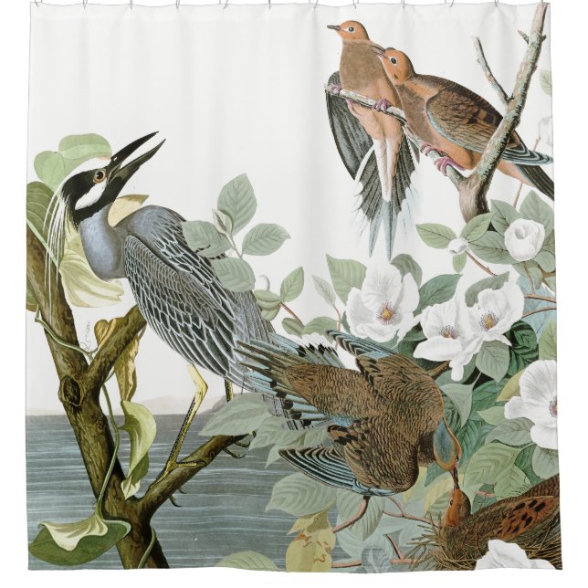 Audubon Herons & Dove Birds Animal Shower Curtain (Front)