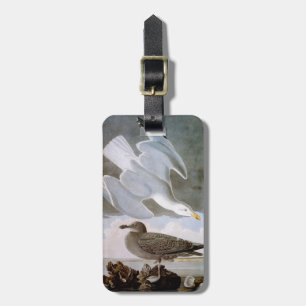 Audubon: Herring Gull Luggage Tag