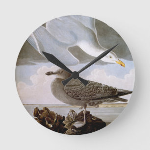Audubon: Herring Gull Round Clock