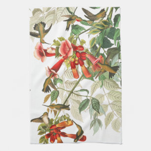 Audubon Hummingbird Birds Flowers Kitchen Towel