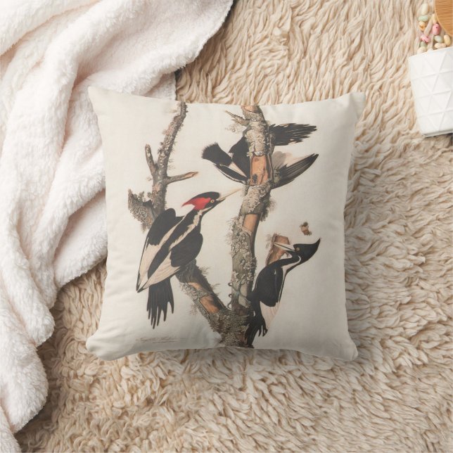 Audubon Ivory-Billed Woodpecker Cushion (Blanket)