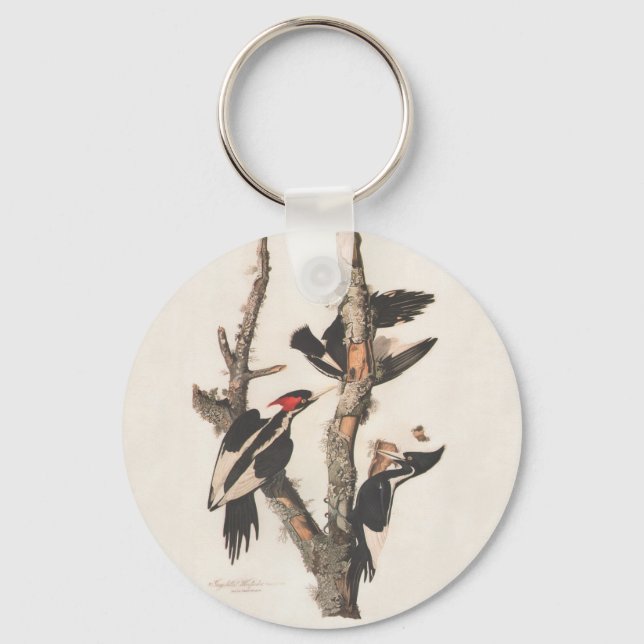 Audubon Ivory-Billed Woodpecker Key Ring (Front)