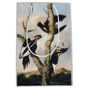 Audubon Ivory-Billed Woodpecker Painting Medium Gift Bag