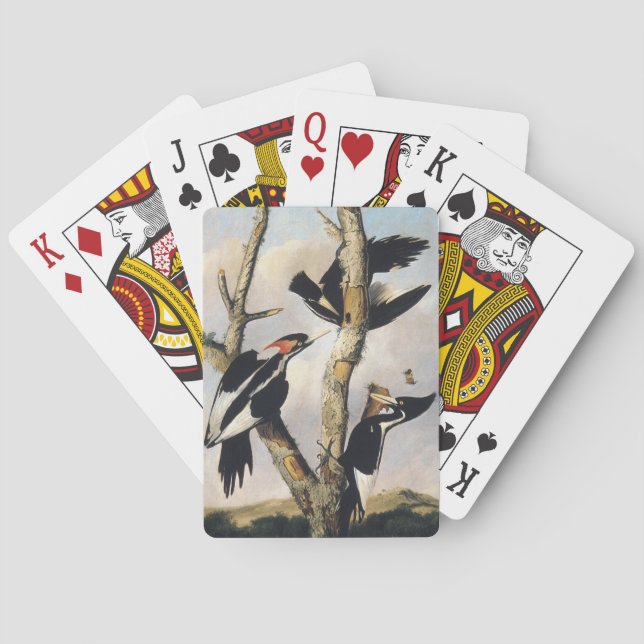 Audubon Ivory-Billed Woodpecker Painting Playing Cards (Back)