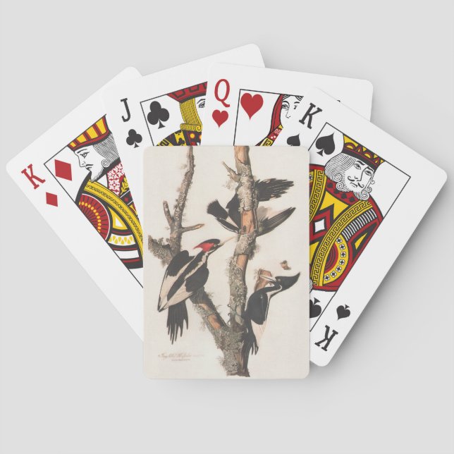 Audubon Ivory-Billed Woodpecker Playing Cards (Back)