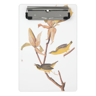 Audubon Kentucky Warblers on Magnolia Mini Clipboard
