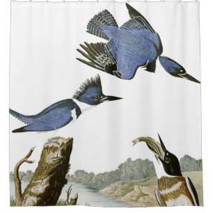 Audubon Kingfisher Birds Wildlife Shower Curtain