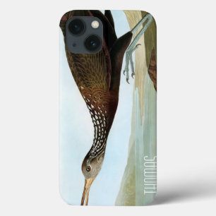 Audubon: Limpkin iPhone 13 Case