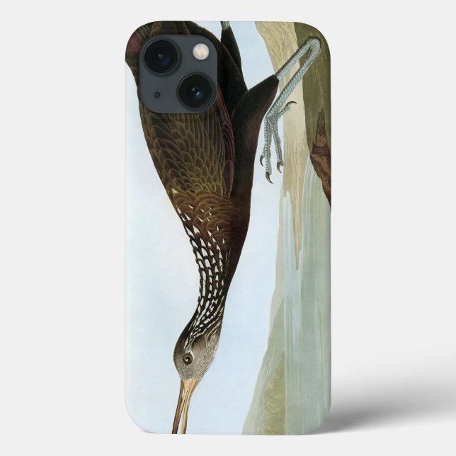 Audubon: Limpkin Case-Mate iPhone Case (Back)