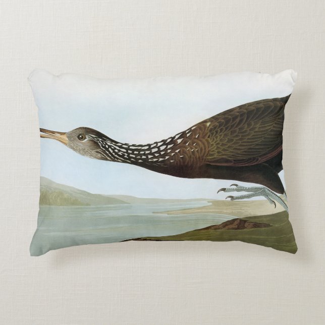 Audubon: Limpkin Decorative Cushion (Front)