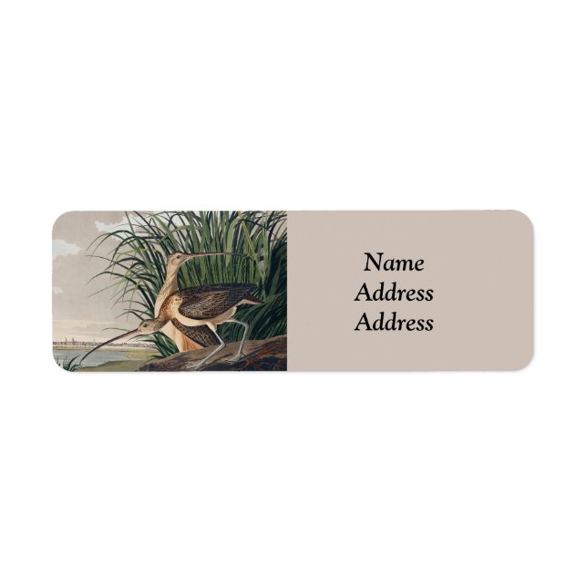 Audubon Long-Billed Curlew Bird (Front)