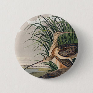 Audubon Long-Billed Curlew Bird 6 Cm Round Badge