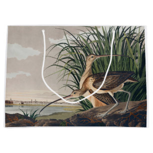 Audubon Long-Billed Curlew Bird Large Gift Bag