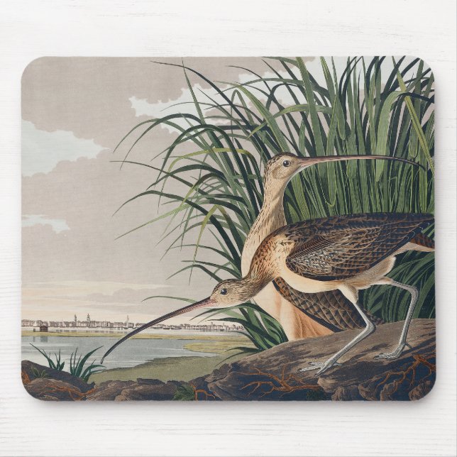Audubon Long-Billed Curlew Bird Mouse Mat (Front)