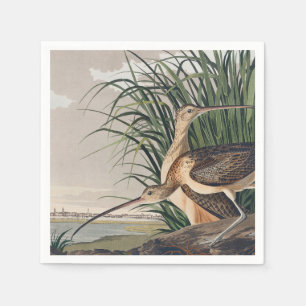 Audubon Long-Billed Curlew Bird Napkin