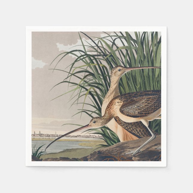 Audubon Long-Billed Curlew Bird Napkin (Front)