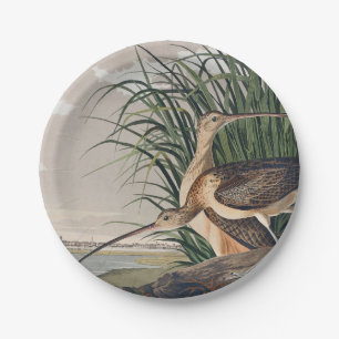 Audubon Long-Billed Curlew Bird Paper Plate