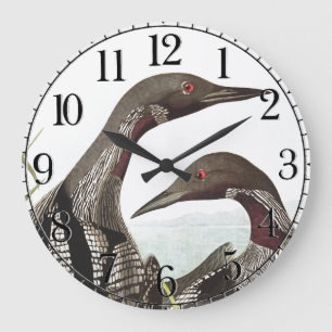 Audubon Loon Diver Birds Animal Wall Clock