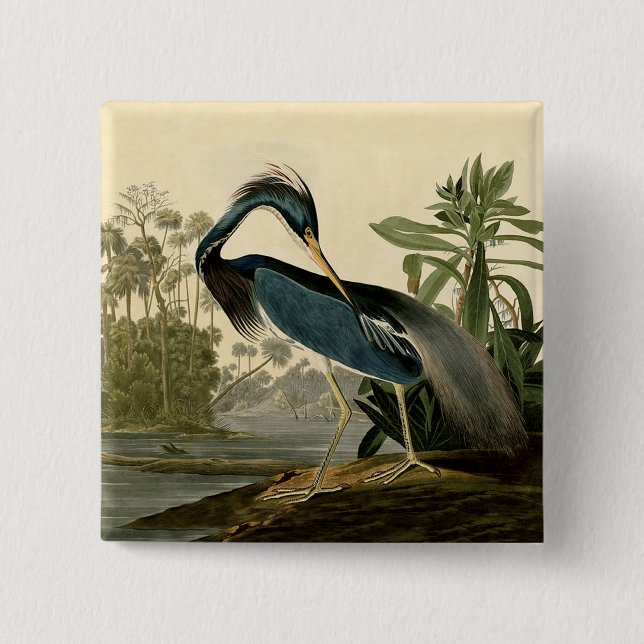 Audubon Louisiana Heron Birds America Art 15 Cm Square Badge (Front)