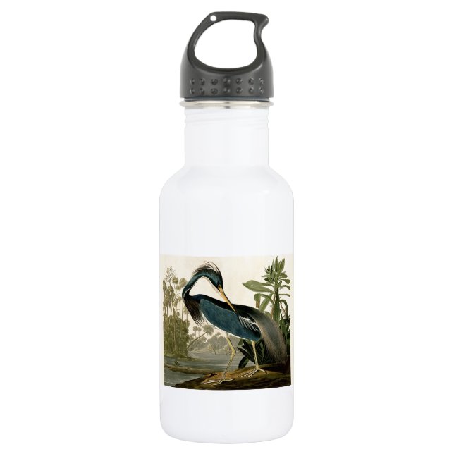 Audubon Louisiana Heron Birds America Art 532 Ml Water Bottle (Front)