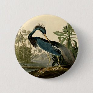 Audubon Louisiana Heron Birds America Art 6 Cm Round Badge
