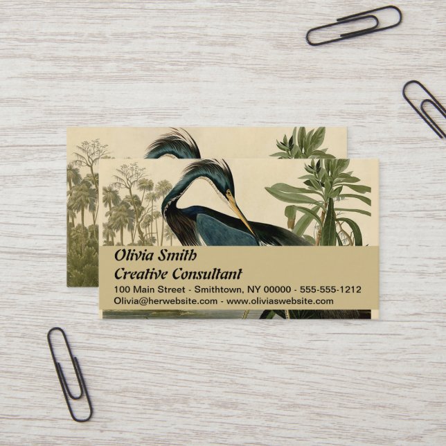 Audubon Louisiana Heron Birds America Art Business Card (Front/Back In Situ)
