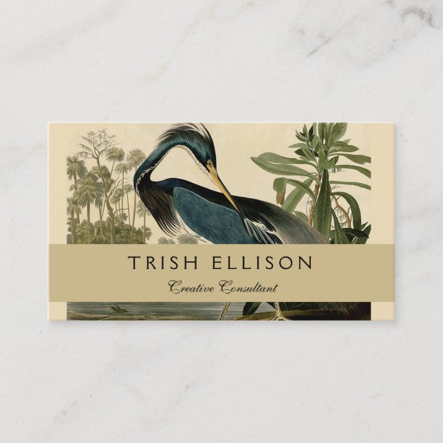 Audubon Louisiana Heron Birds America Art Business Card (Front)