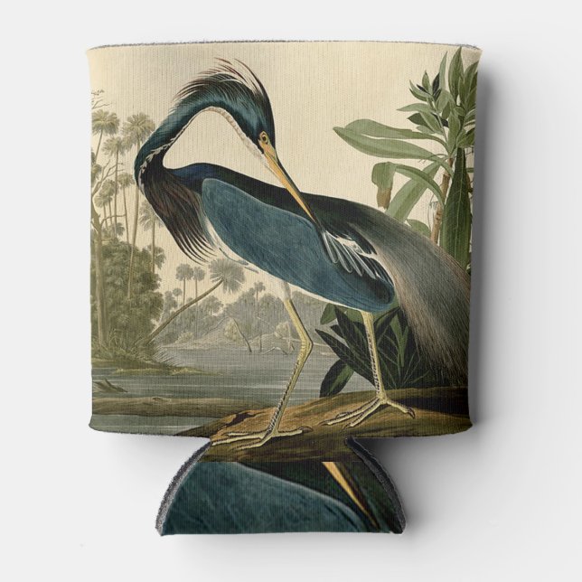 Audubon Louisiana Heron Birds America Art Can Cooler (Front)