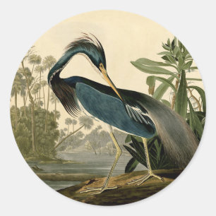 Audubon Louisiana Heron Birds America Art Classic Round Sticker